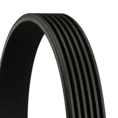 Curea transmisie cu caneluri CONTITECH 6PK1095